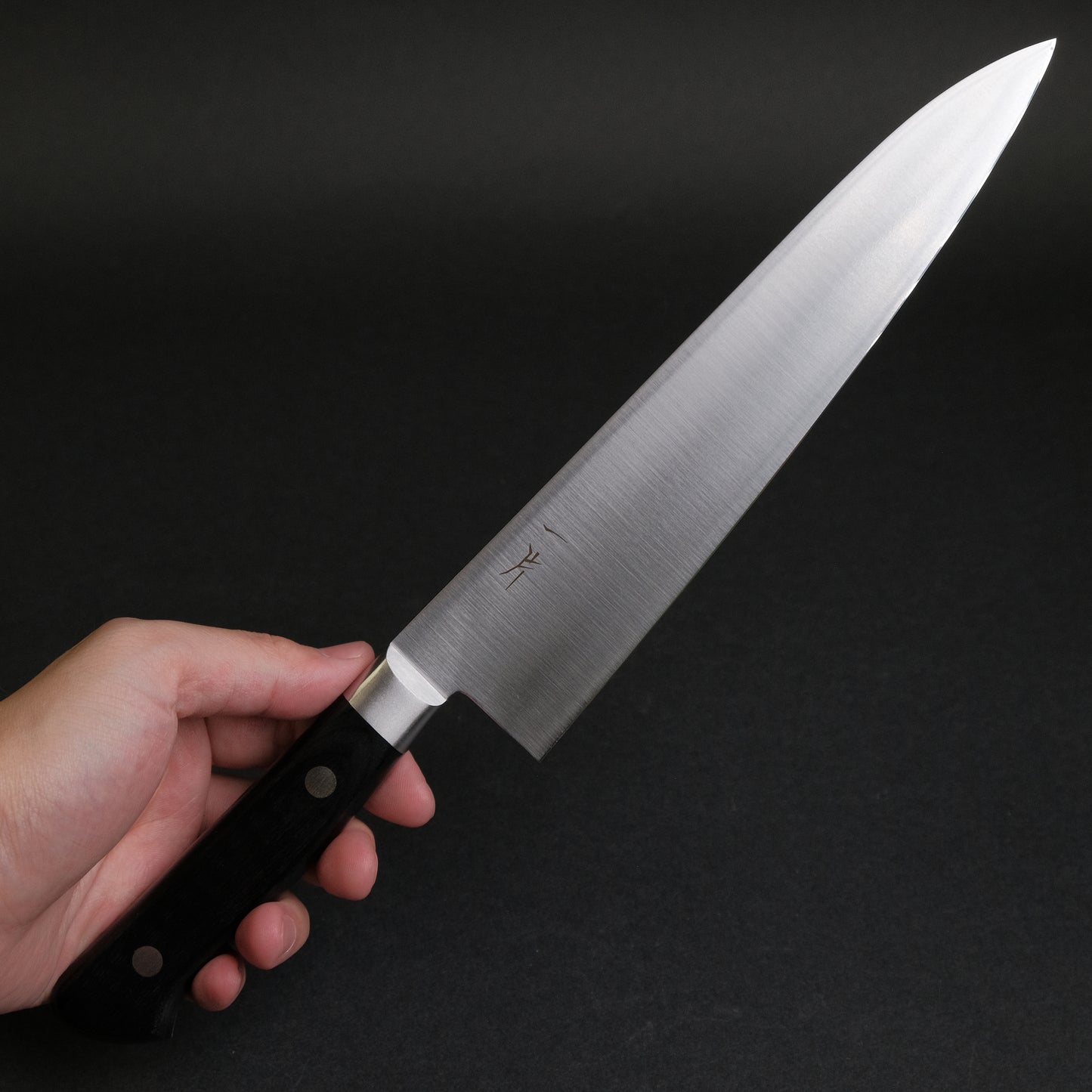 Hitohira FJ VG-10 Gyuto 210mm Pakka Handle