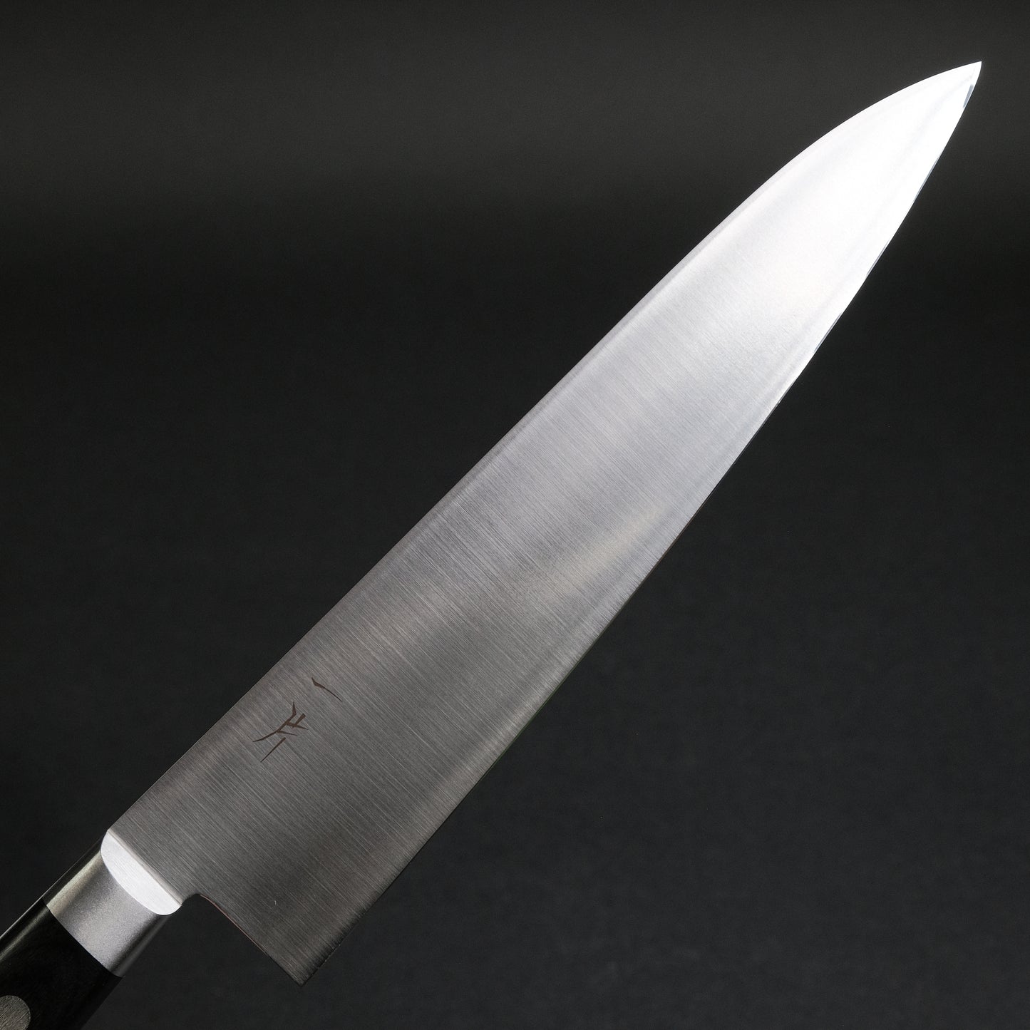 Hitohira FJ VG-10 Gyuto 210mm Pakka Handle