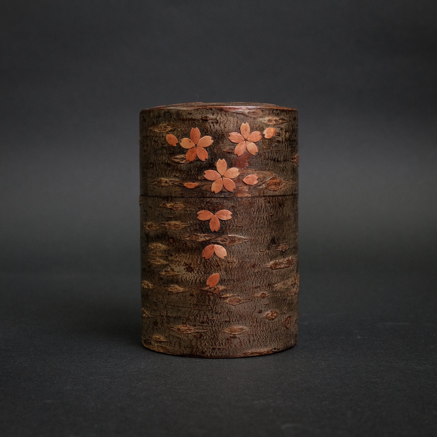 Komon Denshiro Tea Container with Sakura Pattern