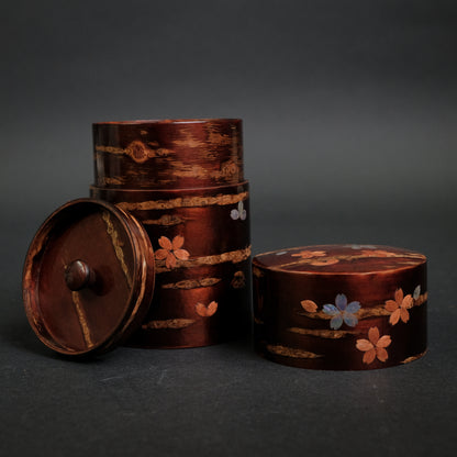 Komon Denshiro Tea Container with Sakura Pattern