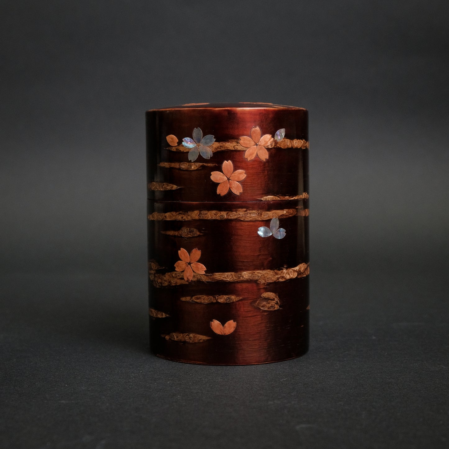 Komon Denshiro Tea Container with Sakura Pattern